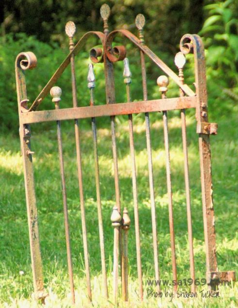 Two 1880's wrought iron gates were used to create an entrance for the wedding guests.